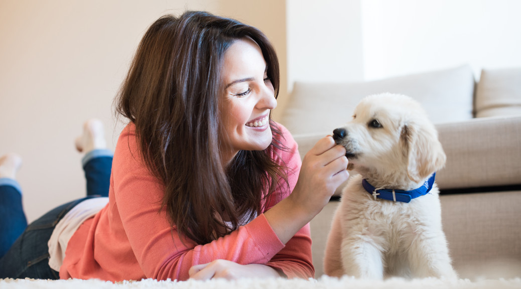 How to choose the perfect pet sitter